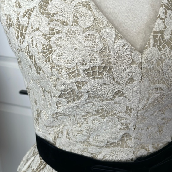 BHLDN James Coviello Dress / Anthropologie Cream and Gold shimmer - Picture 9 of 16